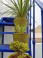 Majorelle Hostel