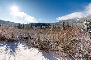 Mountainside Condominiums by CRMR