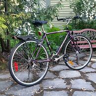 Les Matins de Victoria