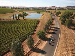 The Sampson - Orange