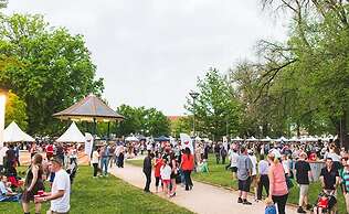 The Sampson - Orange