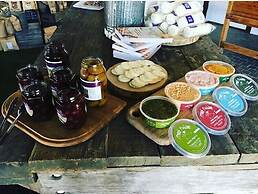 The Sampson - Orange