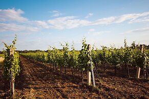 The Sampson - Orange