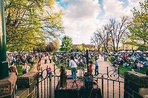 The Sampson - Orange