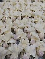 Atour Hotel Little Lujiazui Shanghai