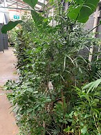 Crown Accommodation Bendigo CBD