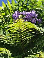 Crown Accommodation Bendigo CBD