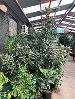 Crown Accommodation Bendigo CBD