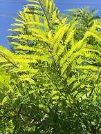 Crown Accommodation Bendigo CBD