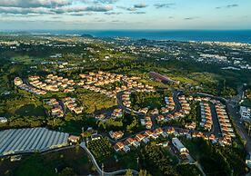 Camphortree Hotel & Resort