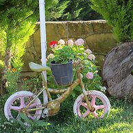 Agva Camlibahce Konuk Evi