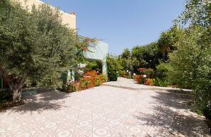Athena Villas Olive Grove & Estate