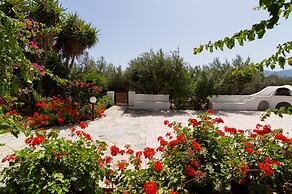 Athena Villas Olive Grove & Estate