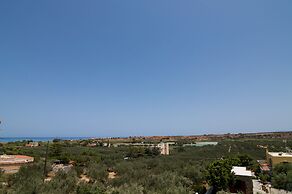 Athena Villas Olive Grove & Estate