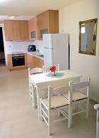 Athena Villas Olive Grove & Estate