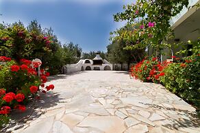 Athena Villas Olive Grove & Estate