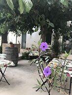 Hostal Cling 43