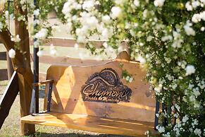 Chamonix Posada y Spa