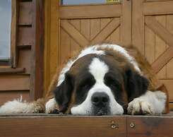 Chamonix Posada y Spa