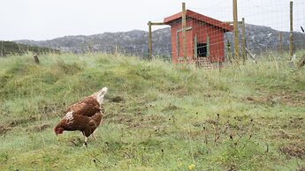 Achmelvich Beach Youth Hostel