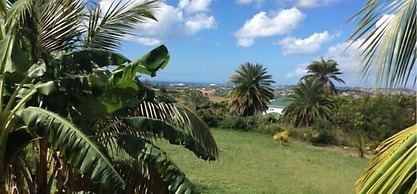 Buckley's Country Club