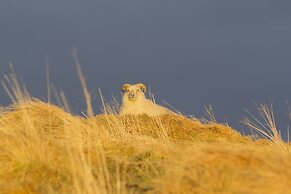 Lambastadir Guesthouse