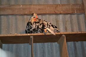 Lambastadir Guesthouse