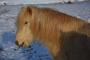 Lambastadir Guesthouse