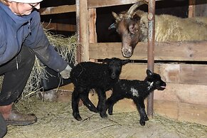 Lambastadir Guesthouse