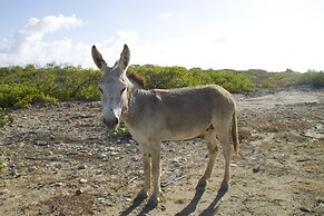 Holiday House Bonaire