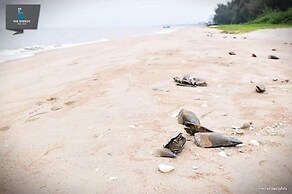 The Energy Condo By AP