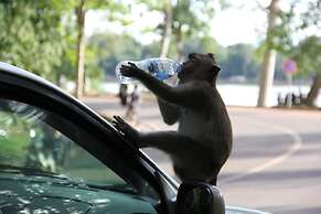 The Siem Reap Chilled Backpacker