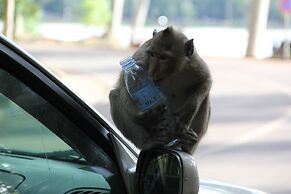 The Siem Reap Chilled Backpacker
