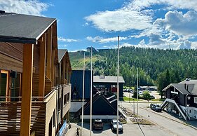 Levi Suites Levi Gold