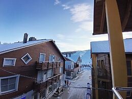 Levi Suites Levi Gold