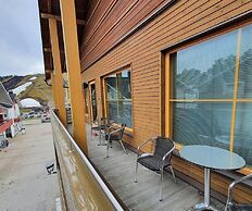 Levi Suites Levi Gold