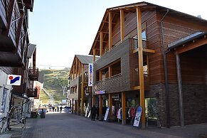 Levi Suites Levi Gold