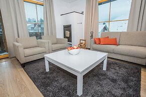 Levi Suites Levi Gold