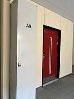 Levi Suites Levi Gold