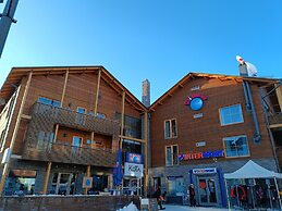 Levi Suites Levi Gold