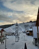 Levi Suites Levi Gold