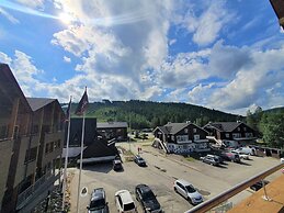 Levi Suites Levi Gold