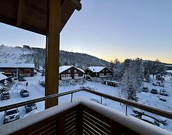 Levi Suites Levi Gold