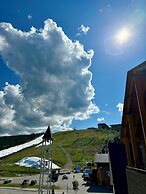 Levi Suites Levi Gold