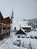 Levi Suites Levi Gold