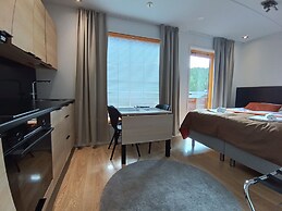 Levi Suites Levi Gold