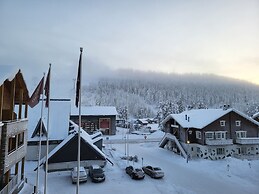 Levi Suites Levi Gold