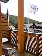 Levi Suites Levi Gold