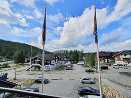 Levi Suites Levi Gold