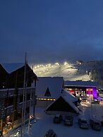 Levi Suites Levi Gold